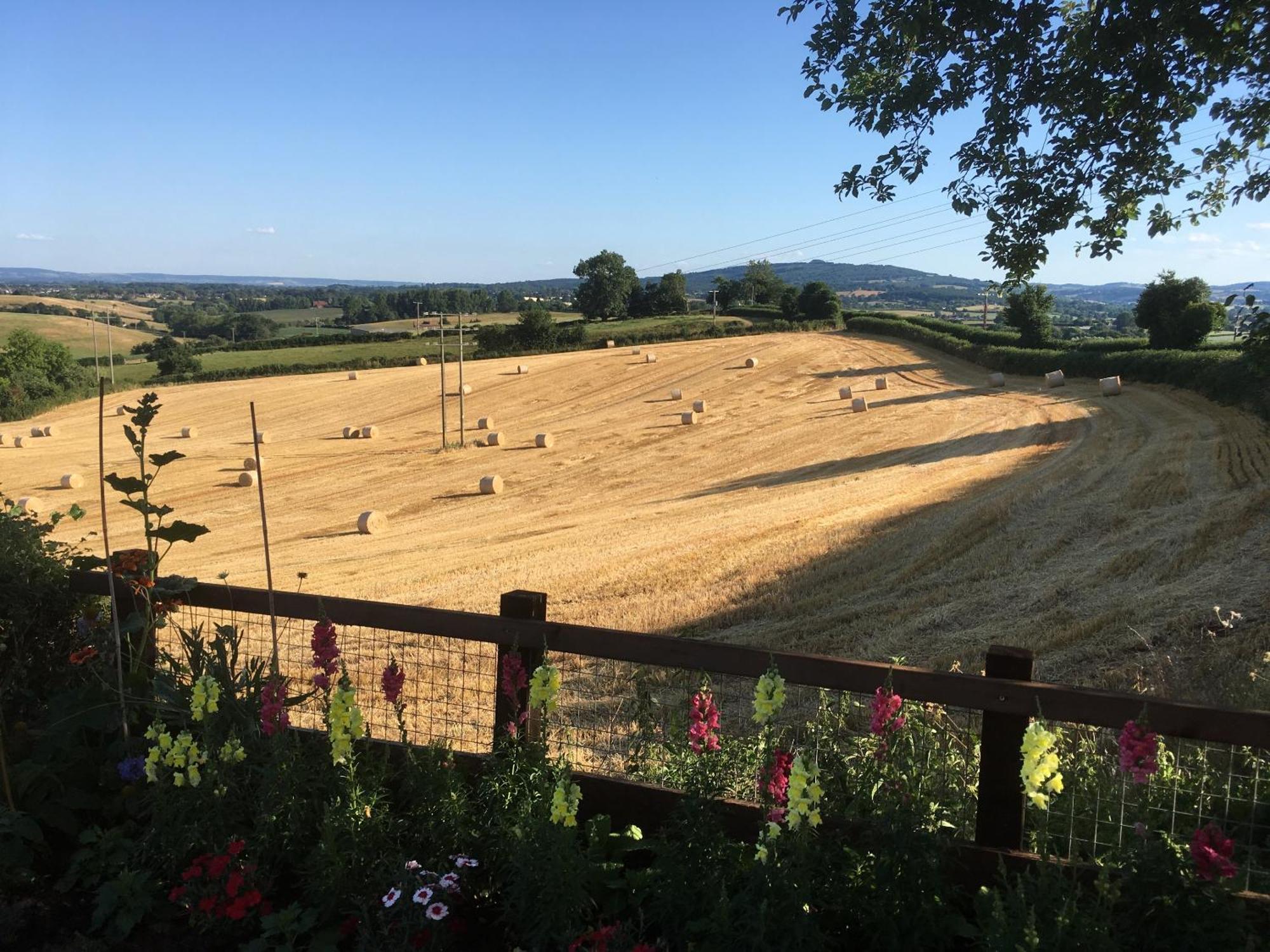 Betula Views Studio Newent Buitenkant foto