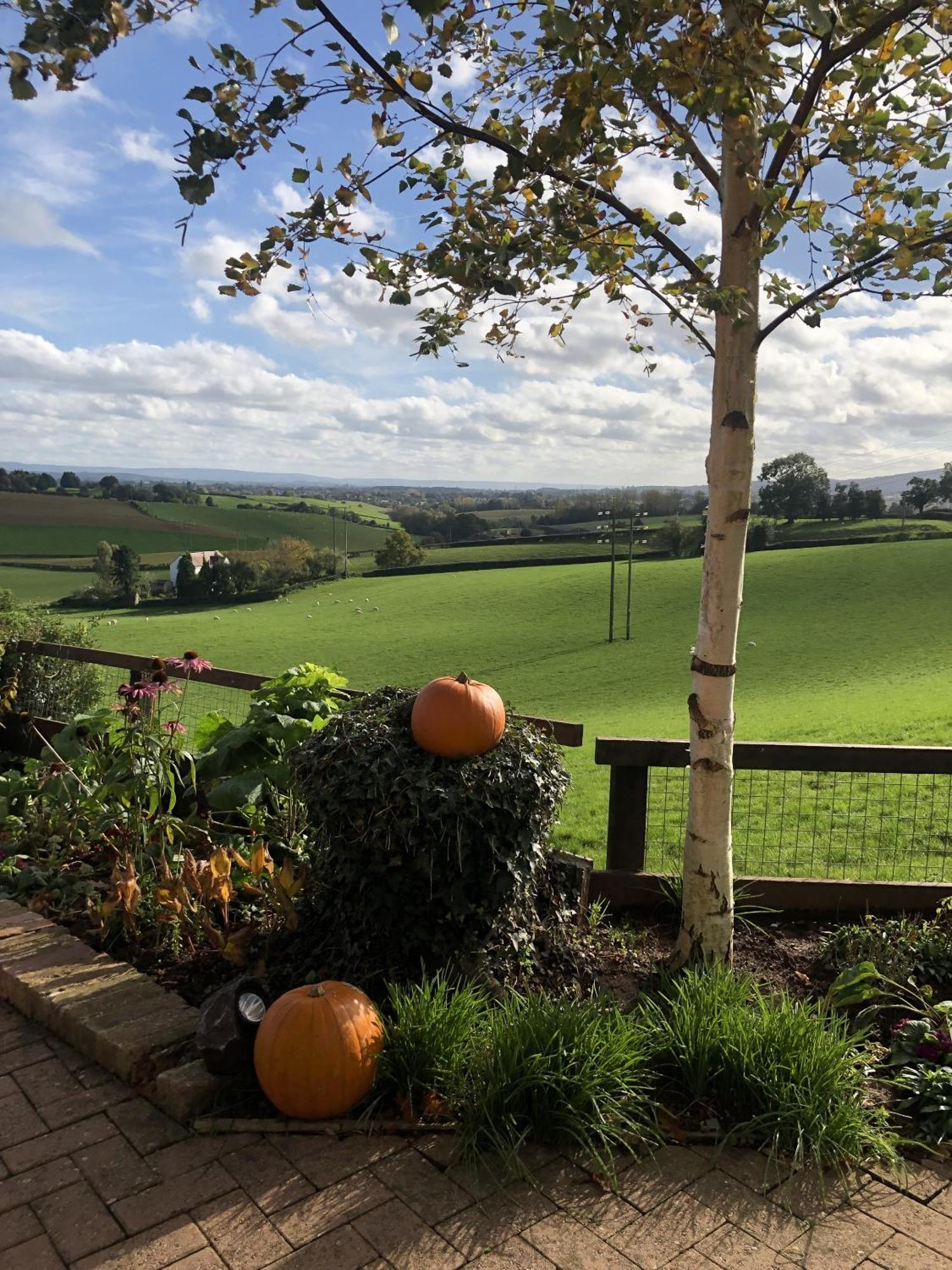 Betula Views Studio Newent Buitenkant foto